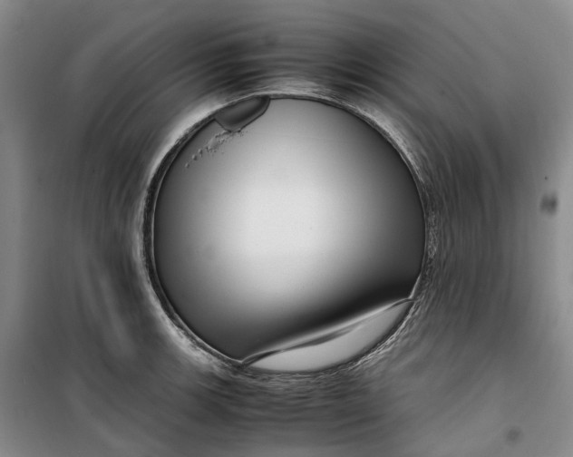 X0000099461139200805301529