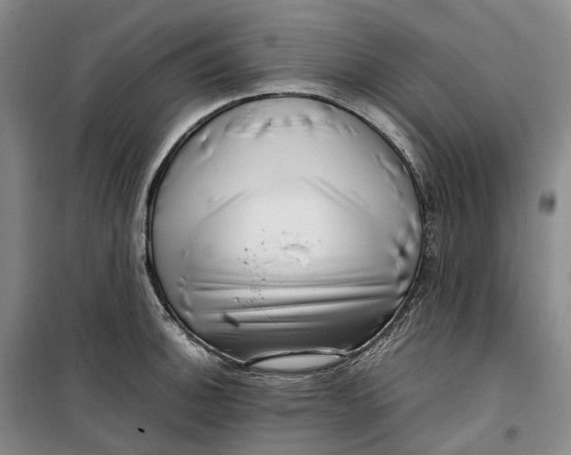 X0000099461140200805301529