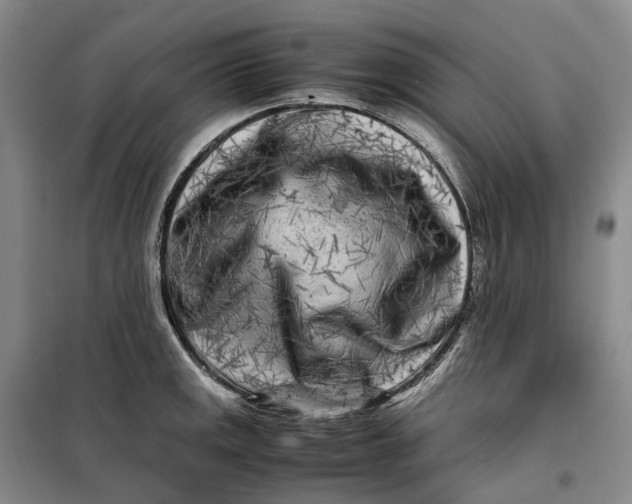 X0000099461141200805301529