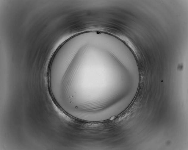 X0000099461143200805301529