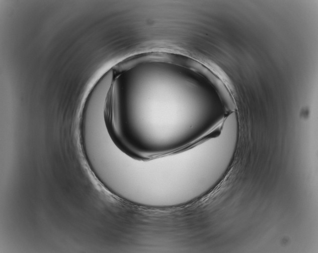 X0000099461144200805301529