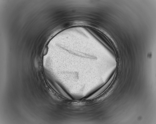 X0000099461145200805301529