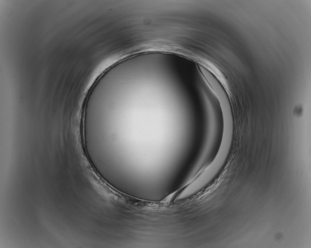 X0000099461146200805301529