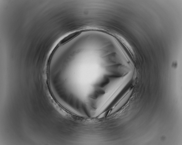 X0000099461148200805301529