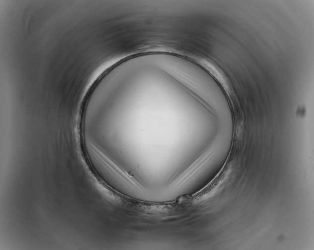 X0000099461149200805301529