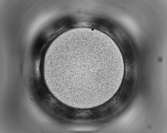 X0000099461150200805301529