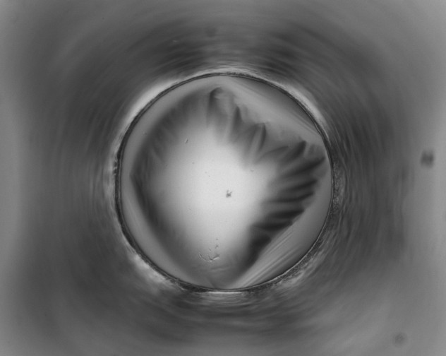 X0000099461151200805301529