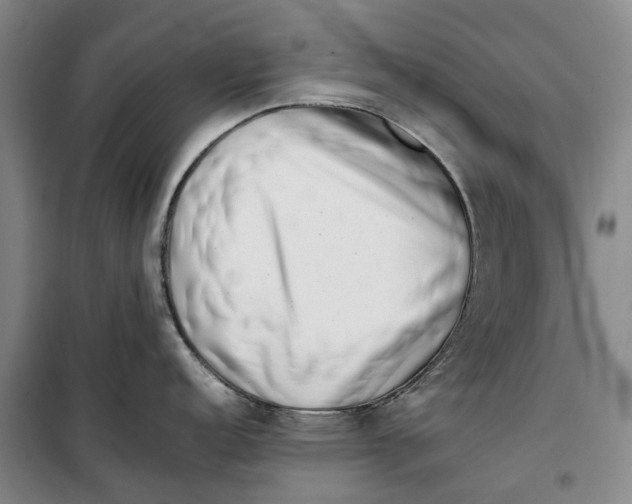 X0000099461152200805301529