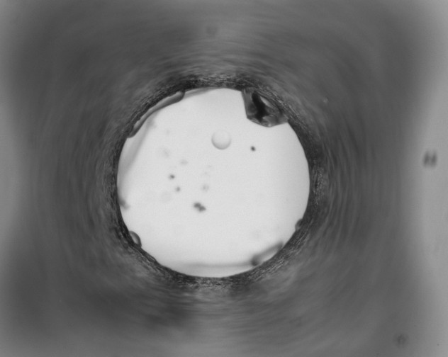 X0000099461153200805301528