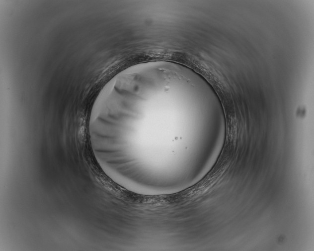 X0000099461154200805301528