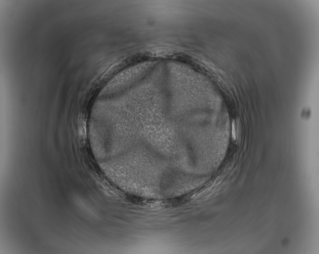 X0000099461155200805301528