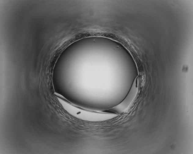 X0000099461157200805301528