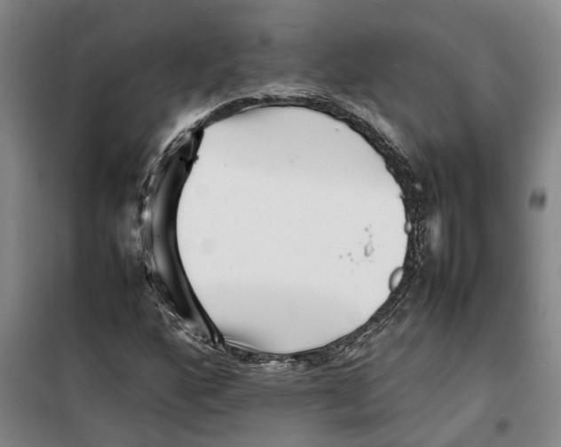 X0000099461160200805301528