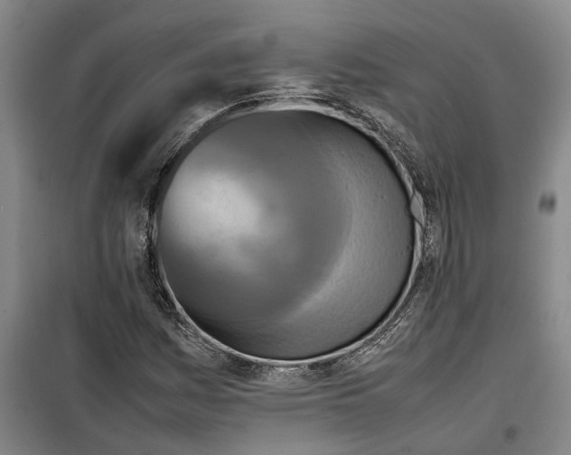 X0000099461161200805301528