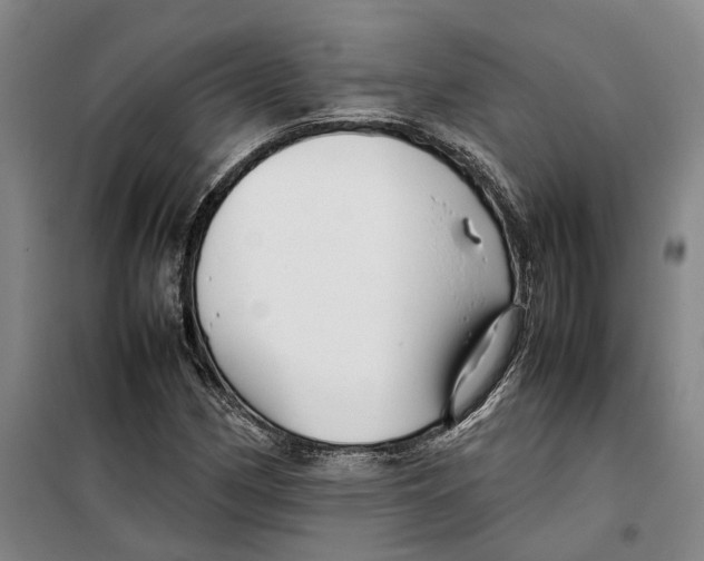 X0000099461162200805301528