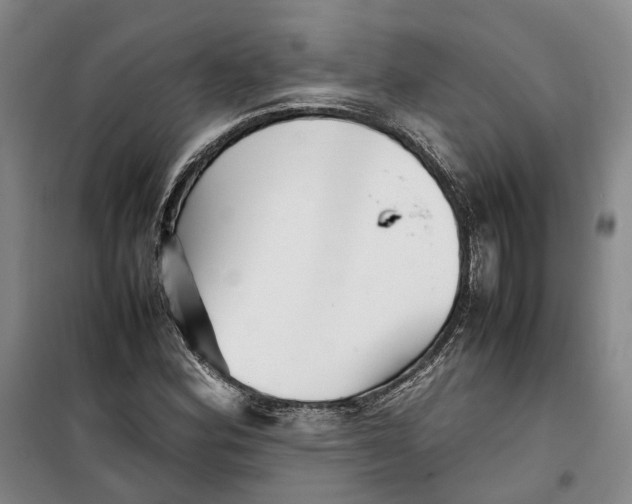 X0000099461164200805301528