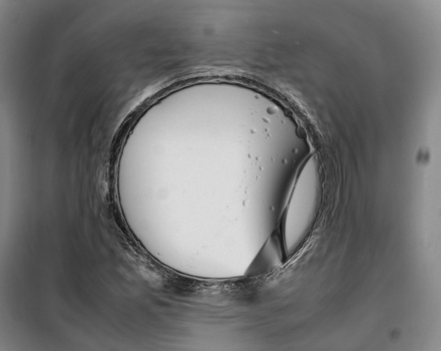 X0000099461165200805301528