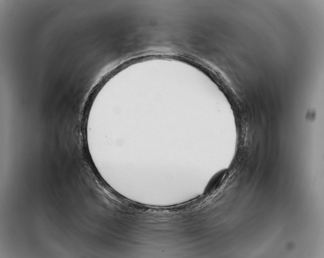 X0000099461168200805301528