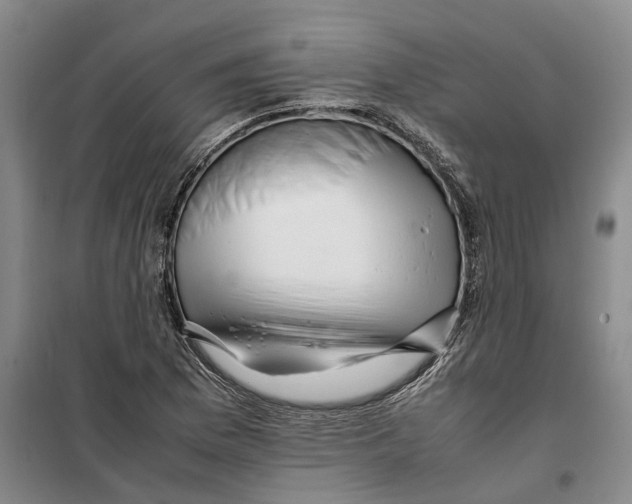 X0000099461169200805301528