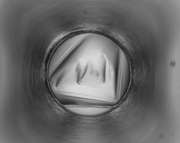 X0000099461172200805301528