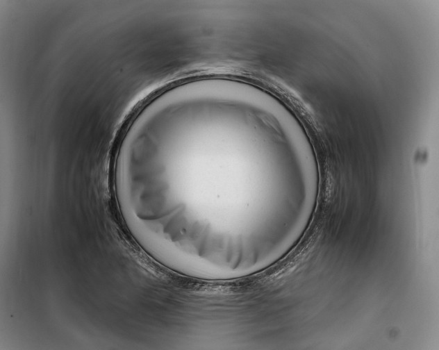 X0000099461174200805301528