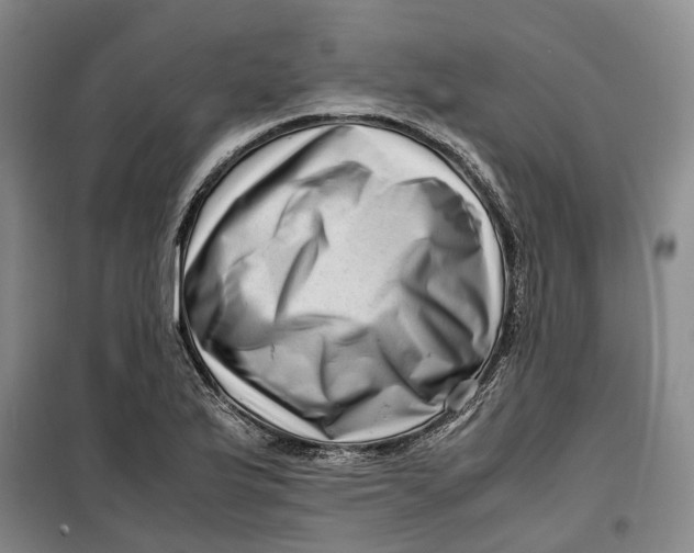 X0000099461175200805301528