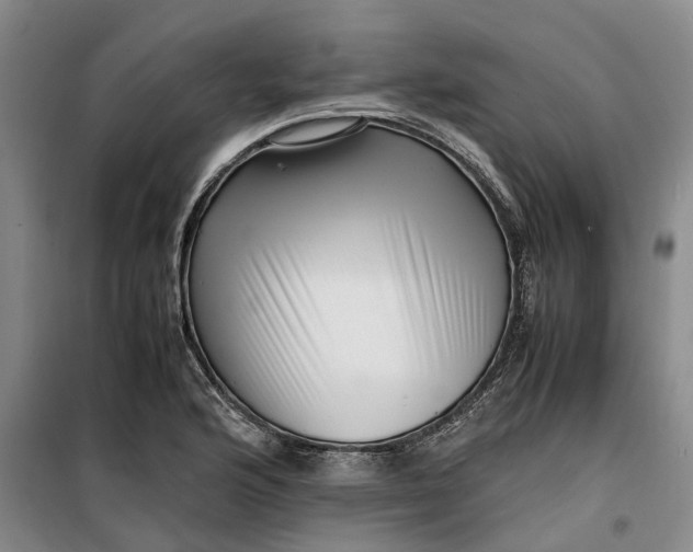 X0000099461176200805301528