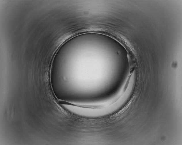 X0000099461177200805301528