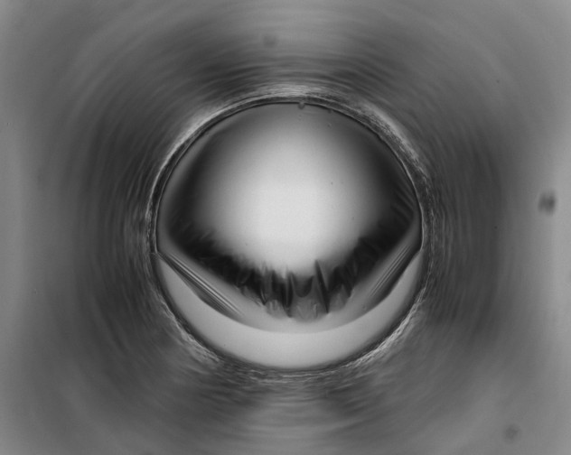 X0000099461178200805301528