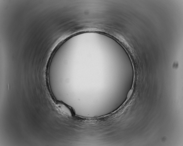 X0000099461181200805301528