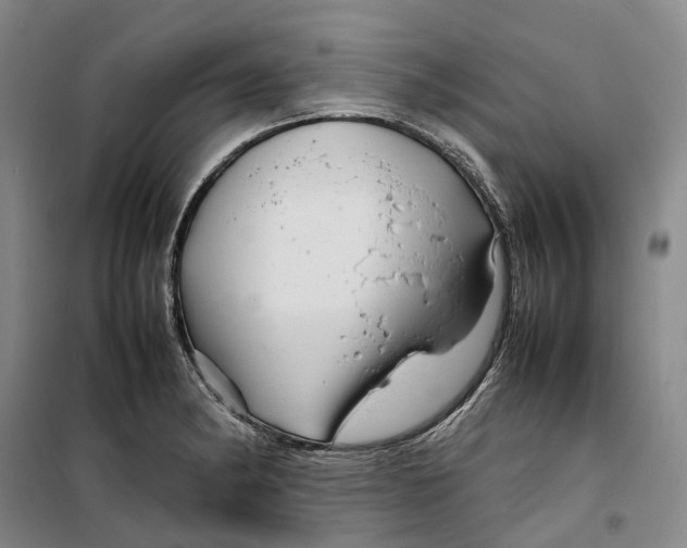 X0000099461182200805301528