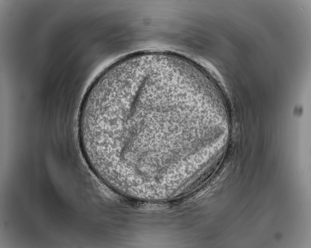 X0000099461183200805301528