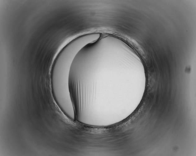 X0000099461184200805301528