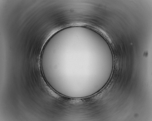 X0000099461186200805301528