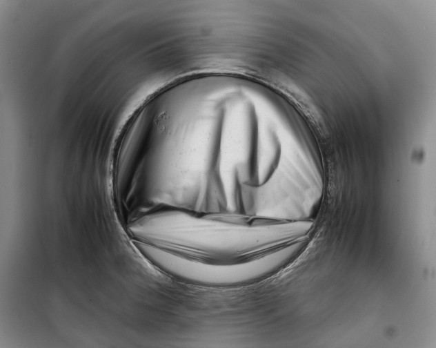 X0000099461188200805301528