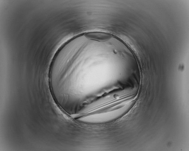 X0000099461189200805301528