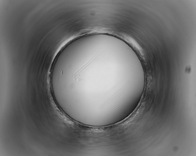 X0000099461190200805301528