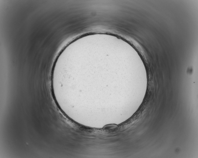 X0000099461191200805301528