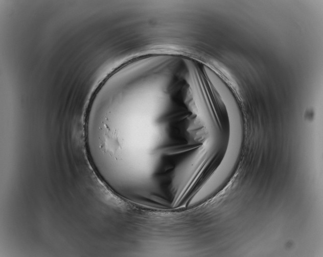 X0000099461192200805301528