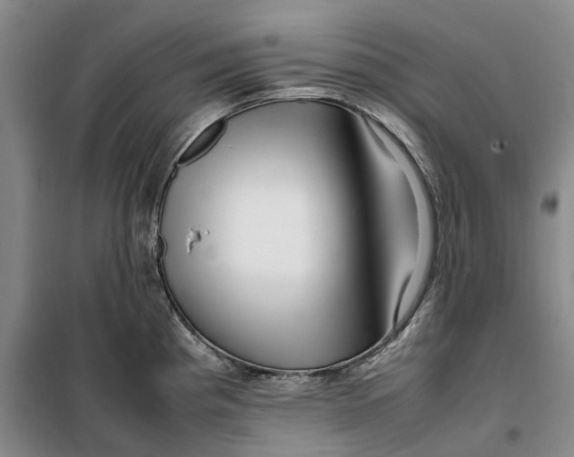 X0000099461193200805301528