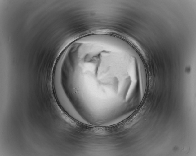 X0000099461194200805301528