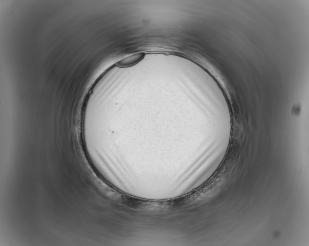 X0000099461195200805301528