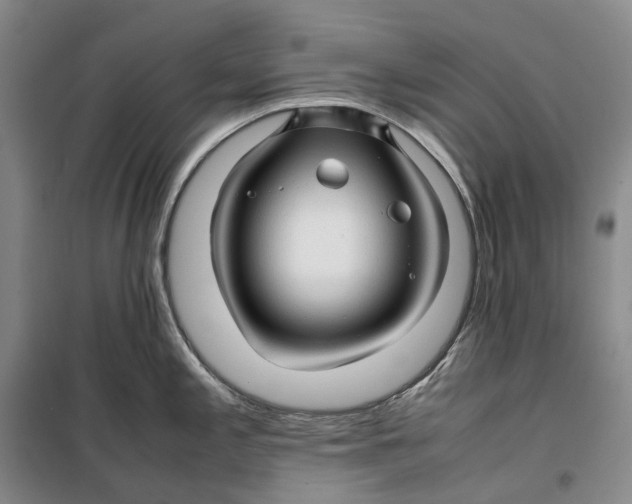 X0000099461197200805301528