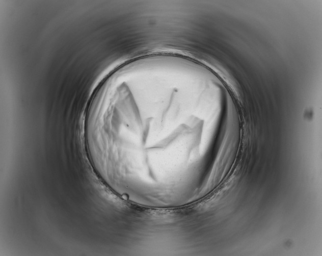 X0000099461198200805301528