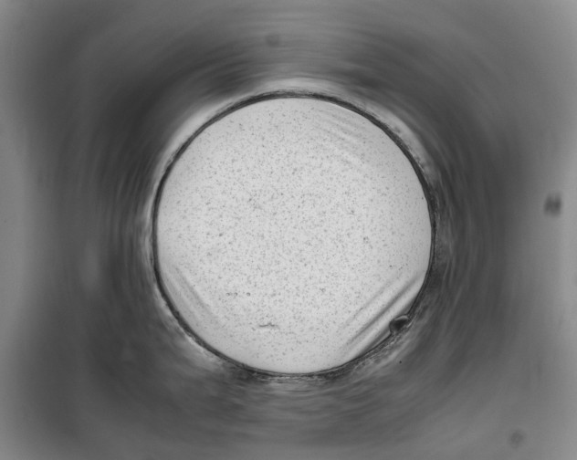 X0000099461199200805301528