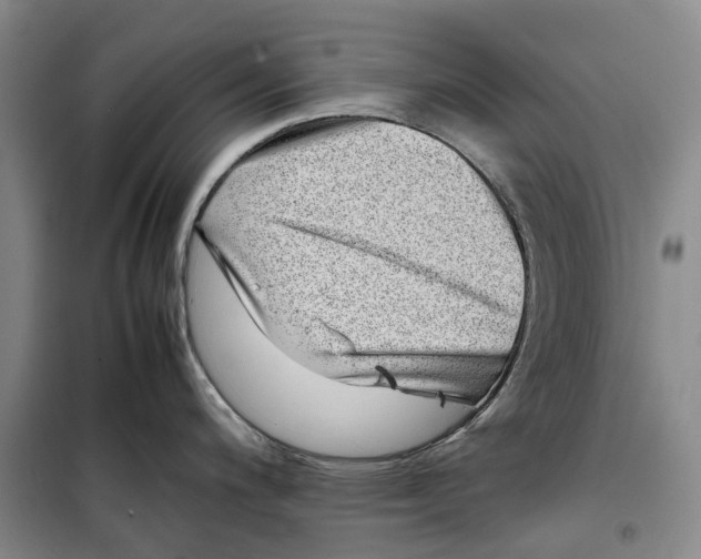 X0000099461200200805301528