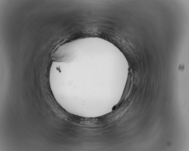 X0000099461201200805301527