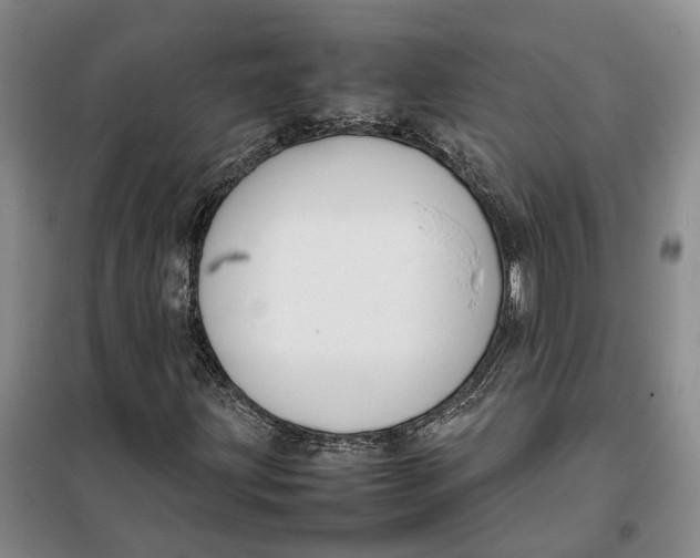 X0000099461203200805301527