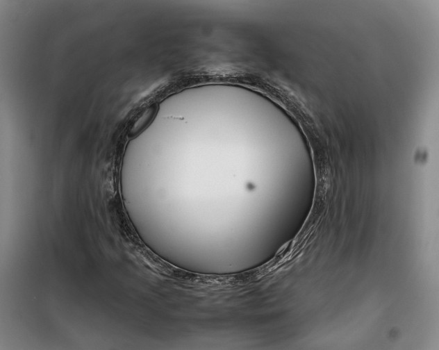 X0000099461205200805301527