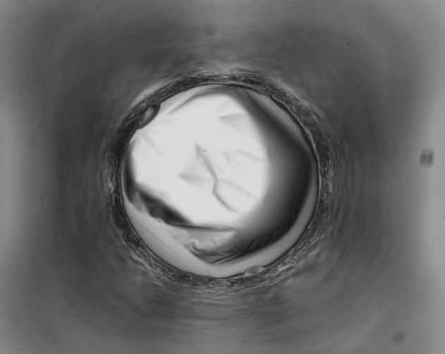 X0000099461206200805301527